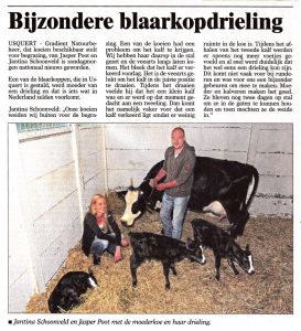 Bijzondere blaarkop drieling